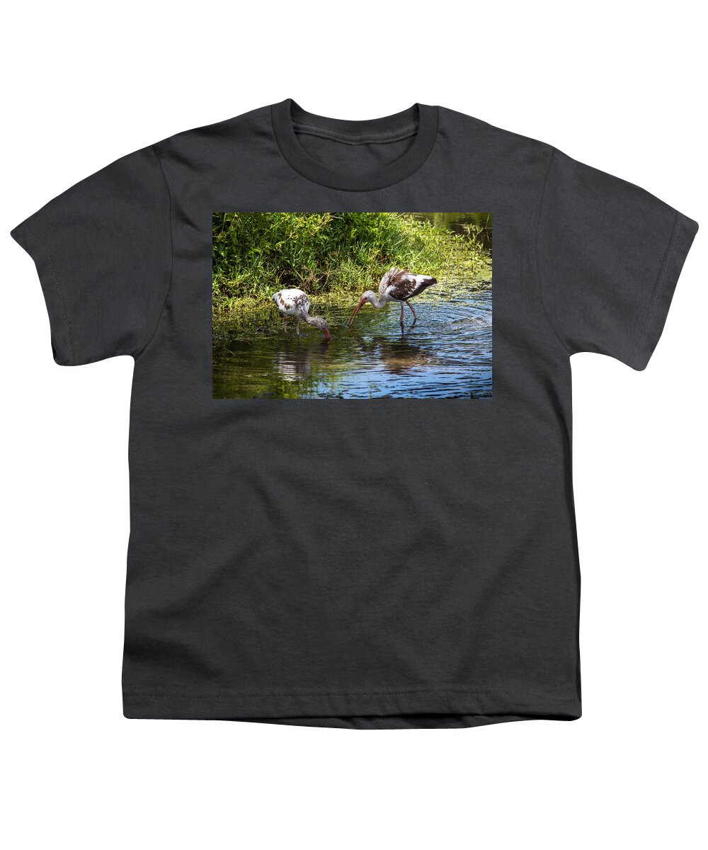Red Bug Slough Youth T-Shirt featuring the photograph Immature White Ibises by Richard Goldman
