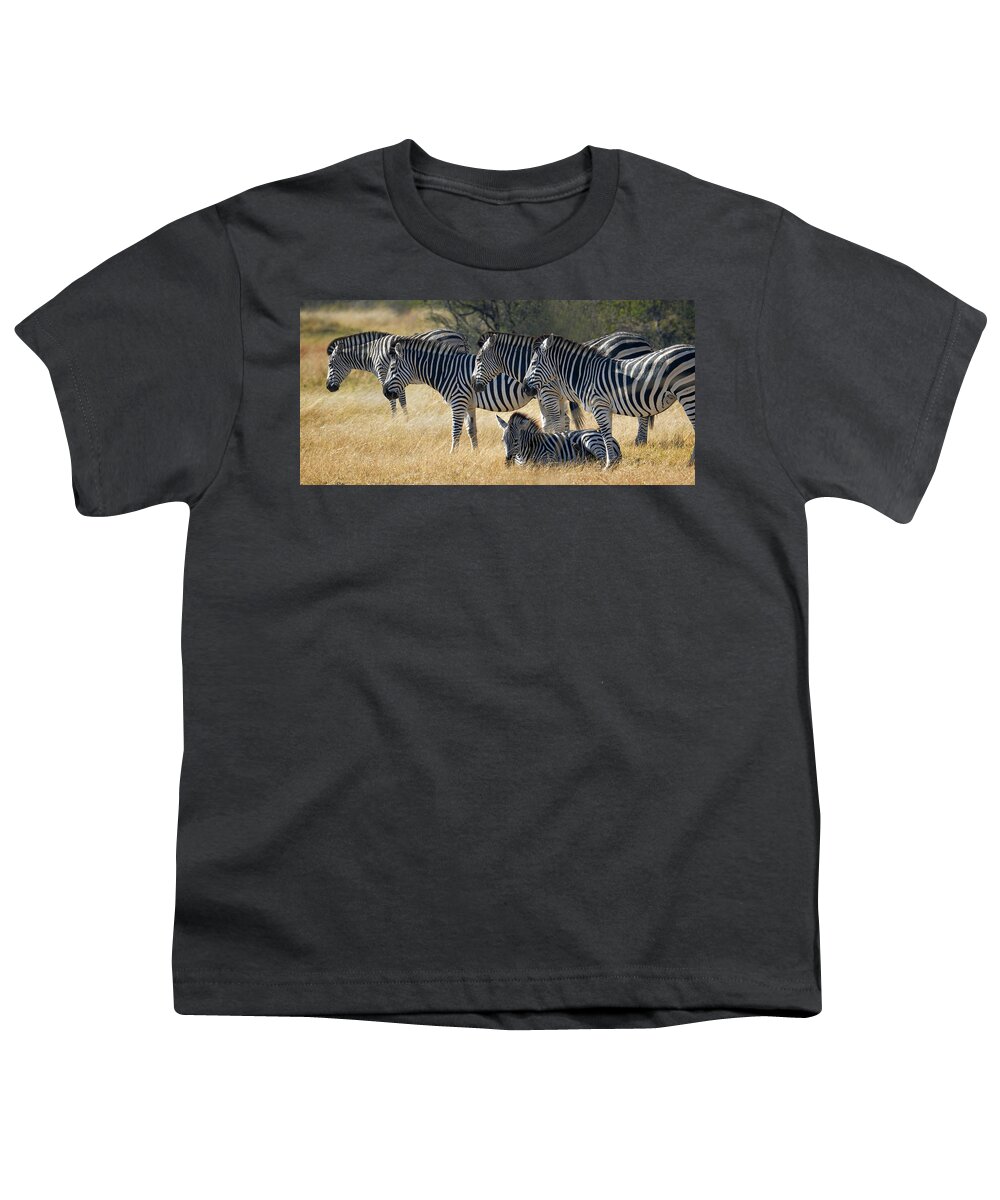 Zebra Youth T-Shirt featuring the photograph In Line Zebras by Joe Bonita