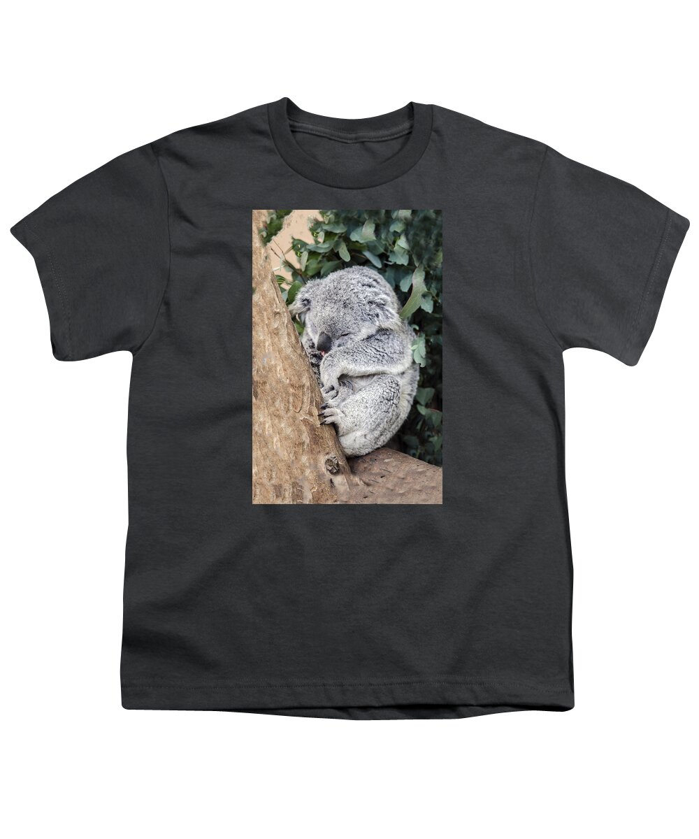 Koala Youth T-Shirt featuring the photograph Joey's Nap by William Bitman