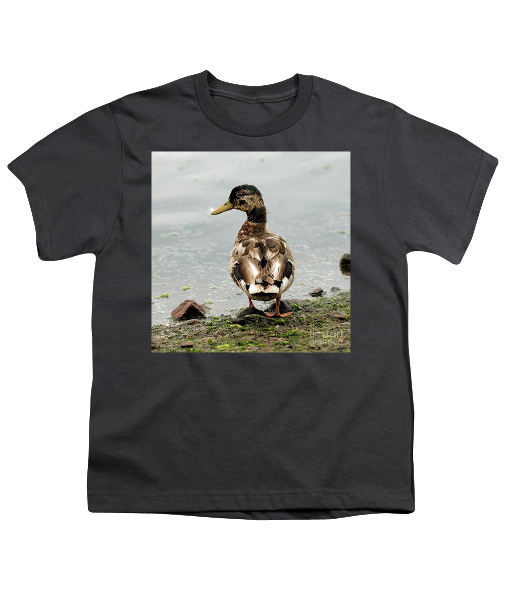 Duck Youth T-Shirt featuring the photograph Just Ducky by Sam Rino