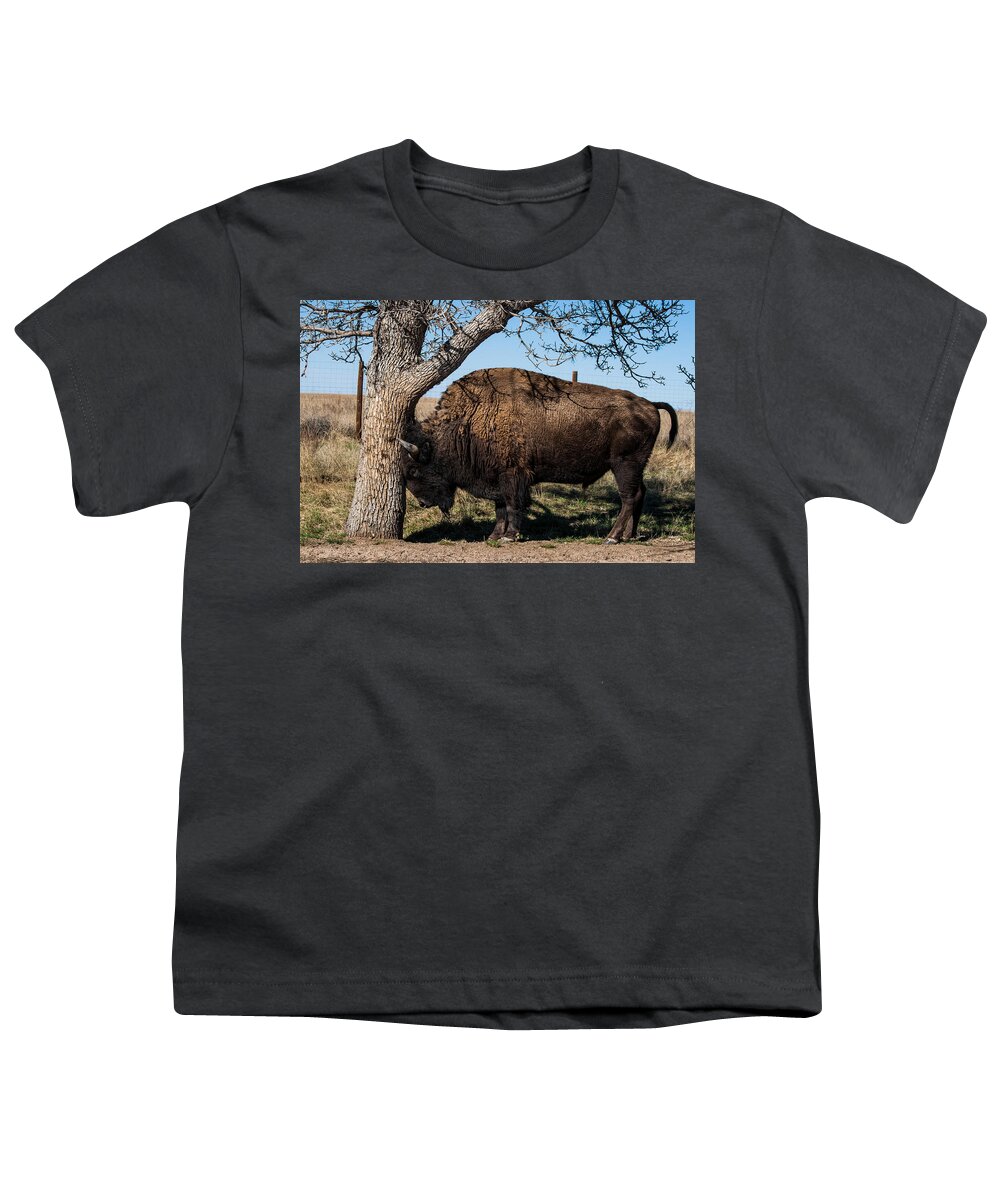 Buffalo Youth T-Shirt featuring the photograph Just One Of Those Days by Mindy Musick King