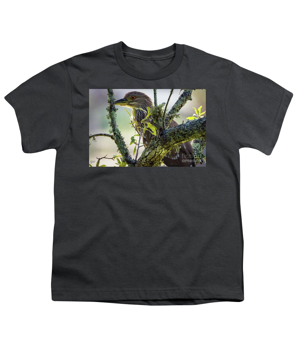 Nature Youth T-Shirt featuring the photograph Juvenile Black Crown Night Heron on Alert by DB Hayes
