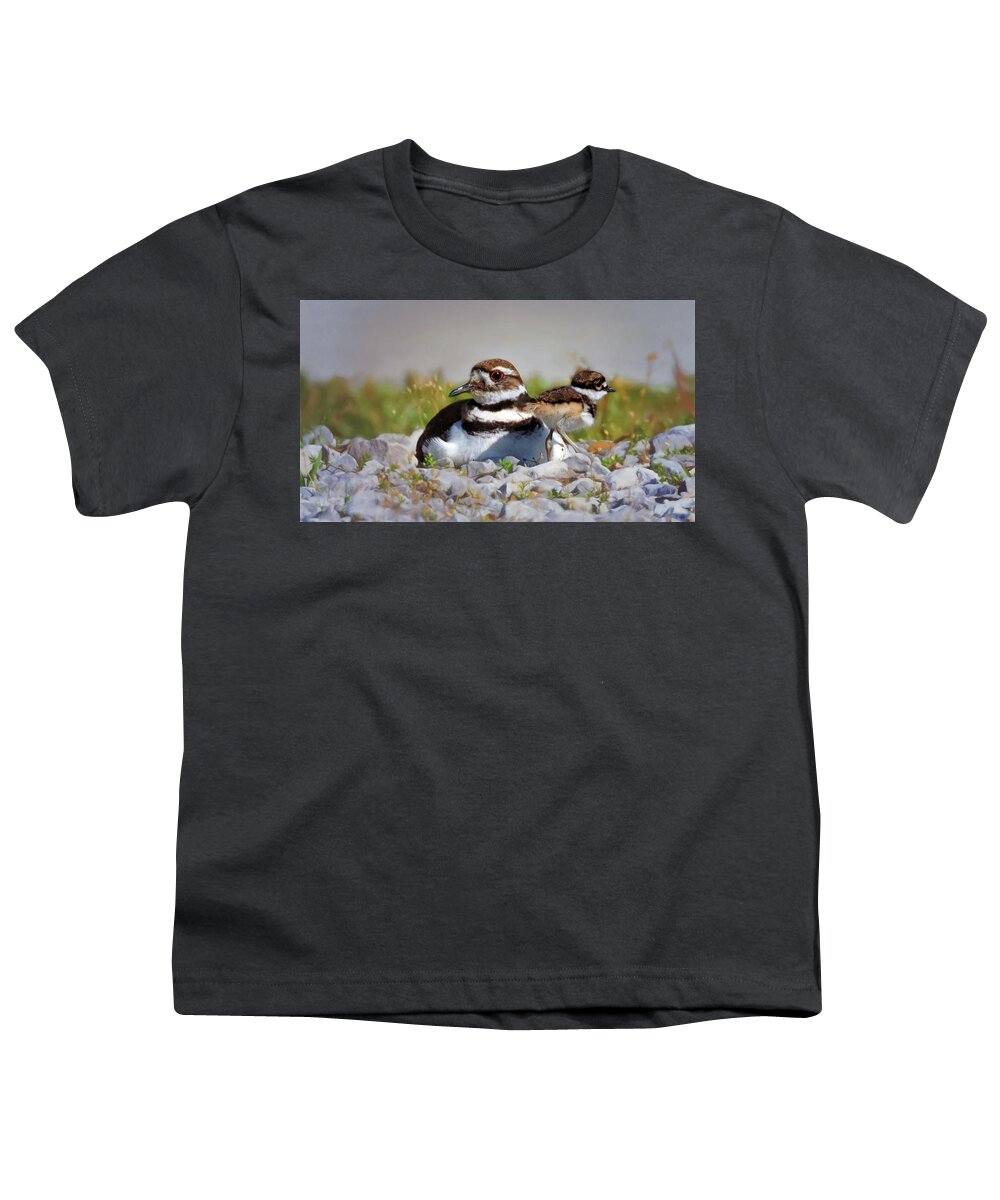 Killdeer Youth T-Shirt featuring the photograph Killdeer and Chick by Susan Rissi Tregoning