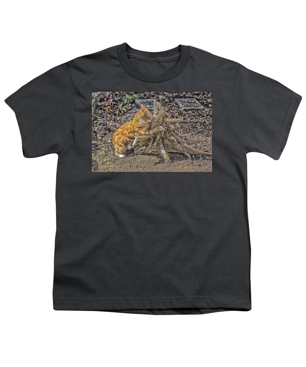 Cat Youth T-Shirt featuring the photograph Kitty Dreaming by Constantine Gregory