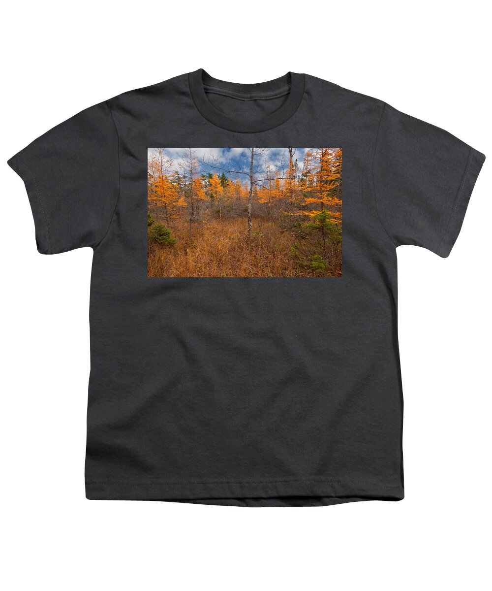 Blue Mountain-birch Cove Lakes Wilderness Youth T-Shirt featuring the photograph Larch Meadow Gold by Irwin Barrett