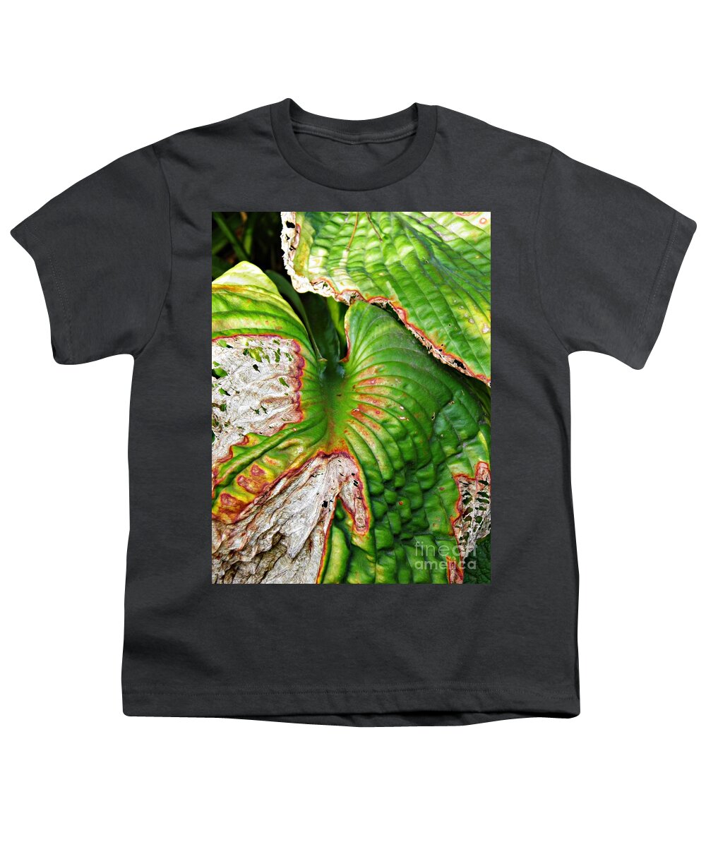 Leaf Youth T-Shirt featuring the photograph Leaf Abstract 12 by Sarah Loft