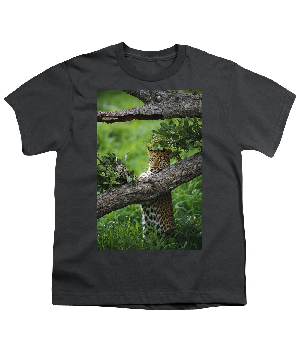 00205505 Youth T-Shirt featuring the photograph Leopard Scent Marking Tree by Gerry Ellis