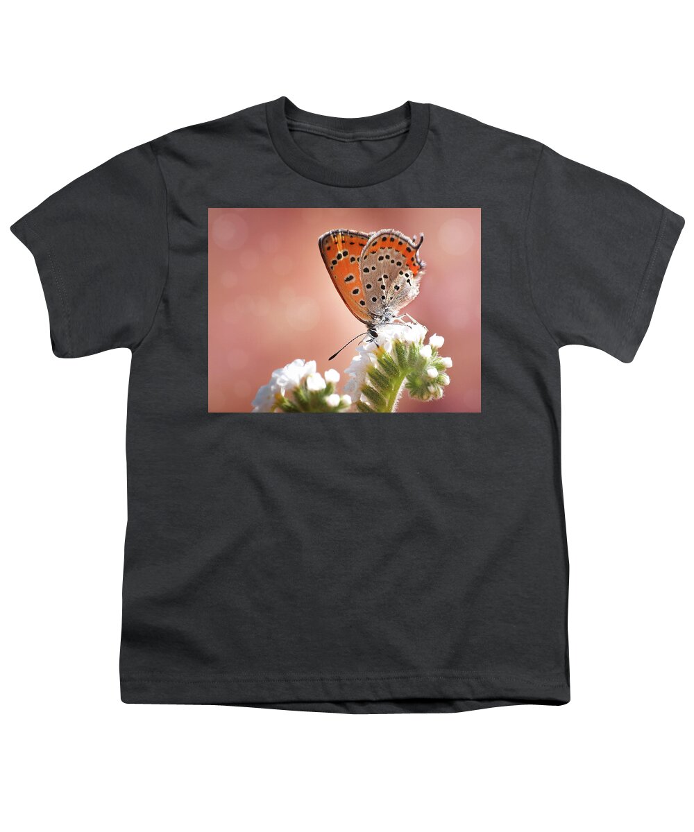 Lycaena Thersamon Youth T-Shirt featuring the photograph Lesser Fiery Copper by Meir Ezrachi