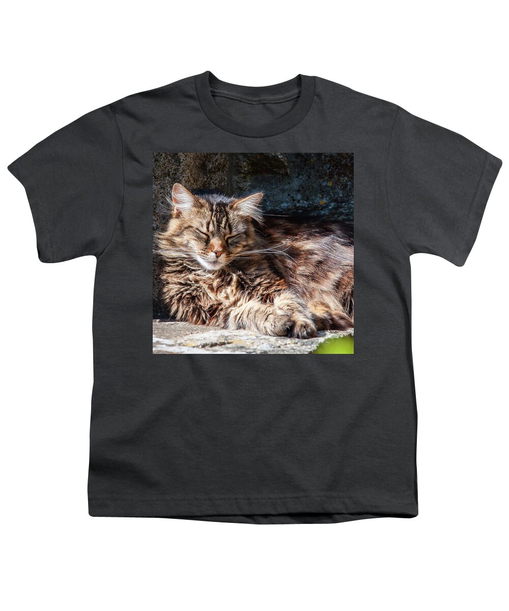 Cat Youth T-Shirt featuring the photograph Let me sleep... by Geoff Smith
