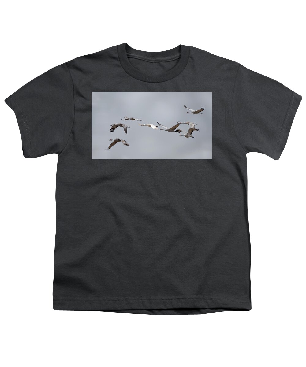 Leucistic Sandhill Crane Youth T-Shirt featuring the photograph Leucistic Sandhill Crane by Susan Rissi Tregoning