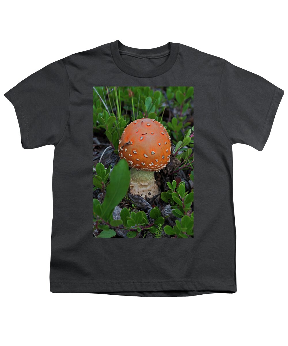 Mushroom Youth T-Shirt featuring the photograph Little Mushroom by Cathy Mahnke
