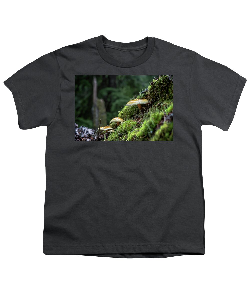 Mushroom Youth T-Shirt featuring the photograph Little Things in a Big Forest by Belinda Greb