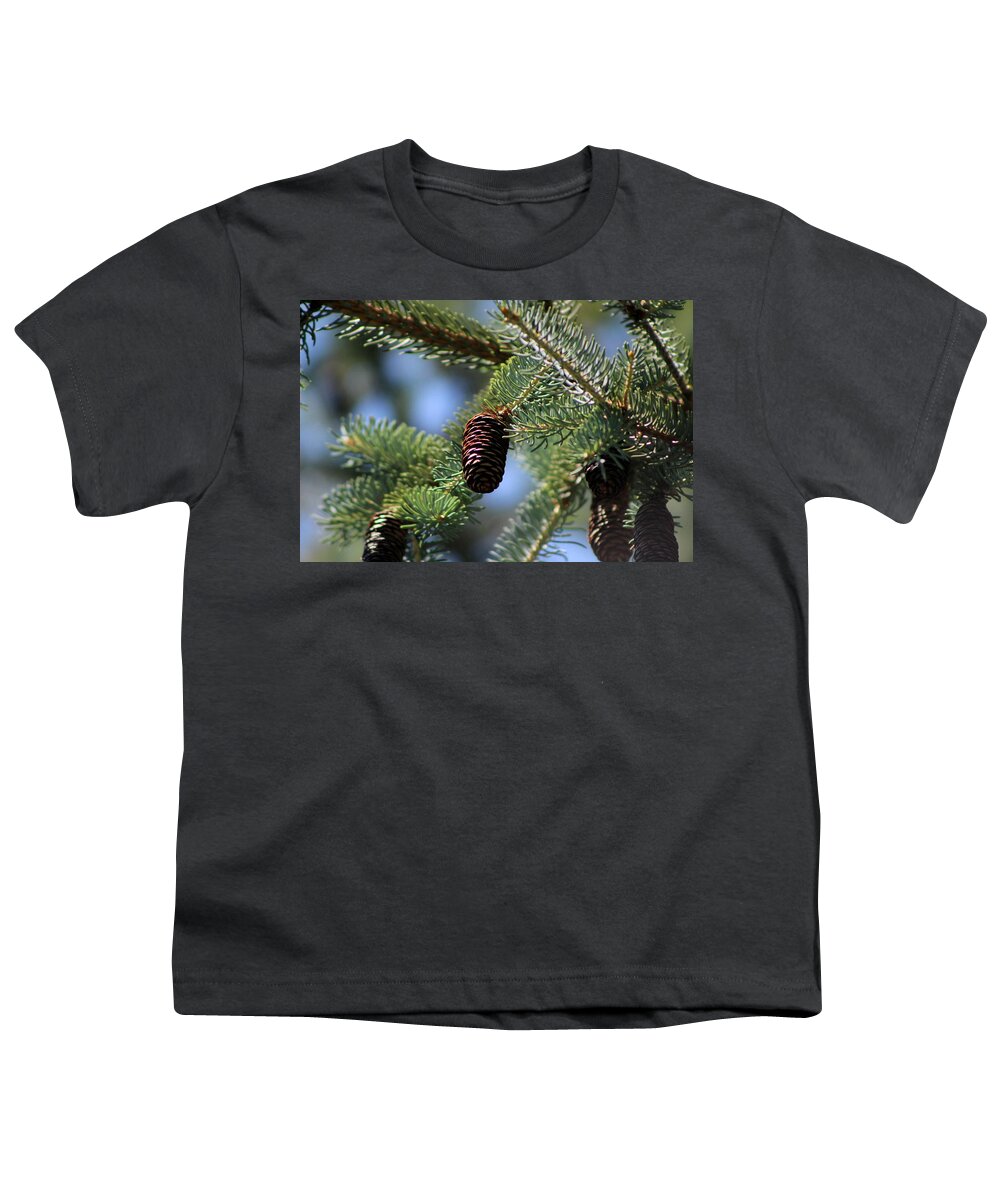 Long Pinecone Youth T-Shirt featuring the photograph Long Pinecones on Calliste Green by Colleen Cornelius