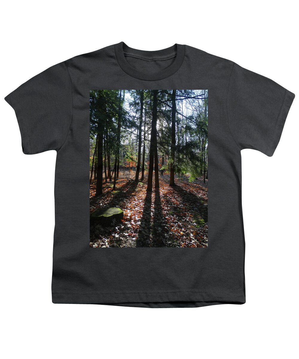 Peninsula State Park Youth T-Shirt featuring the photograph Long Shadows in the Woods by David T Wilkinson
