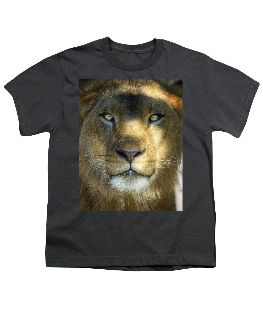African Lion Youth T-Shirt featuring the photograph Look into My Eyes by Saija Lehtonen