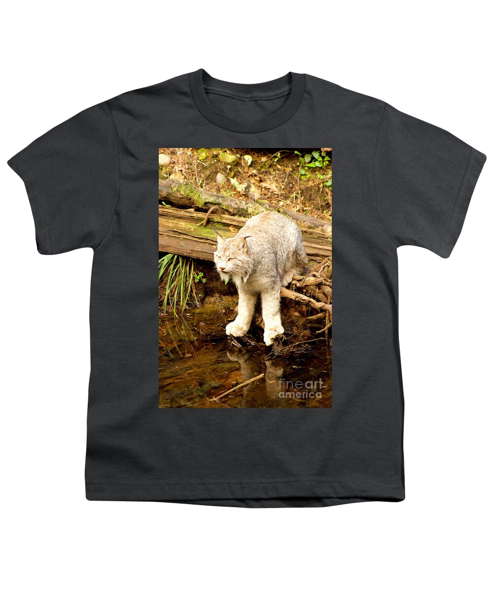 Photography Youth T-Shirt featuring the photograph Lynx Canadensis by Sean Griffin