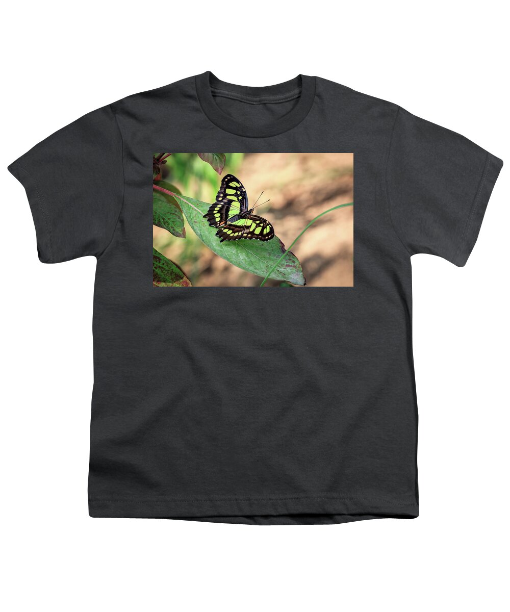 Butterfly Youth T-Shirt featuring the photograph Malachite Butterfly by Tim Abeln