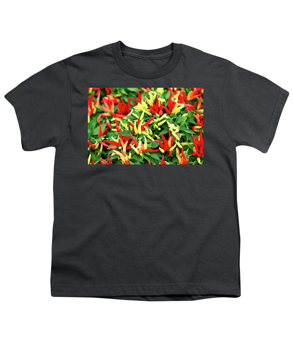 Farmers Market Youth T-Shirt featuring the photograph Many Peppers by Todd Klassy