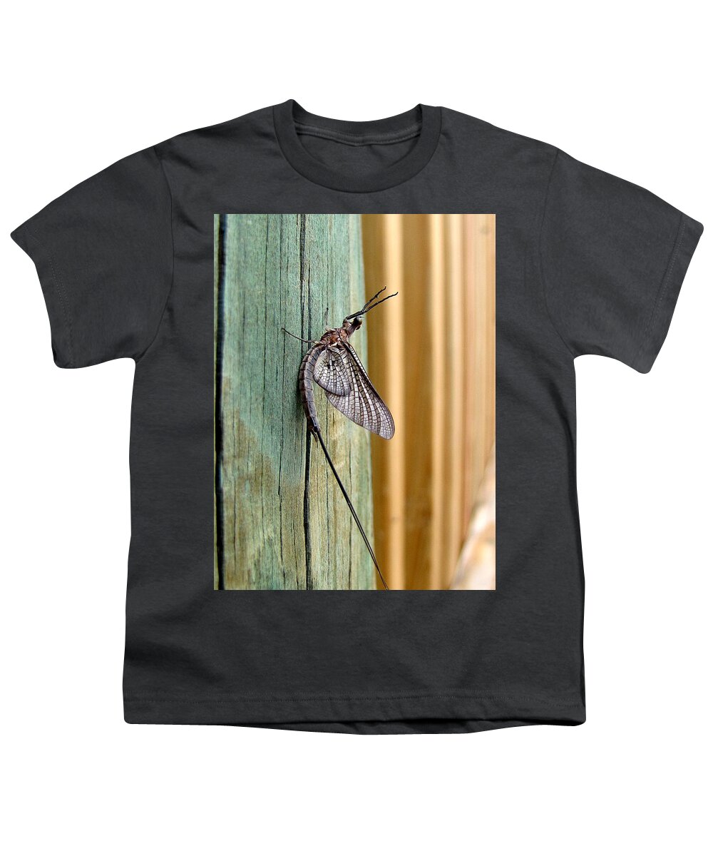 Macro Photography Youth T-Shirt featuring the photograph Mayfly 000 by Christopher Mercer