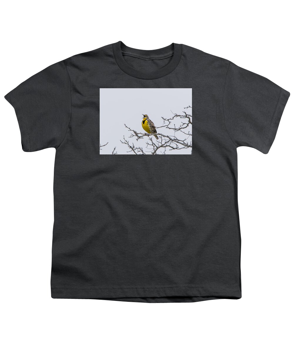 California Youth T-Shirt featuring the photograph Meadowlark in Tree by Marc Crumpler