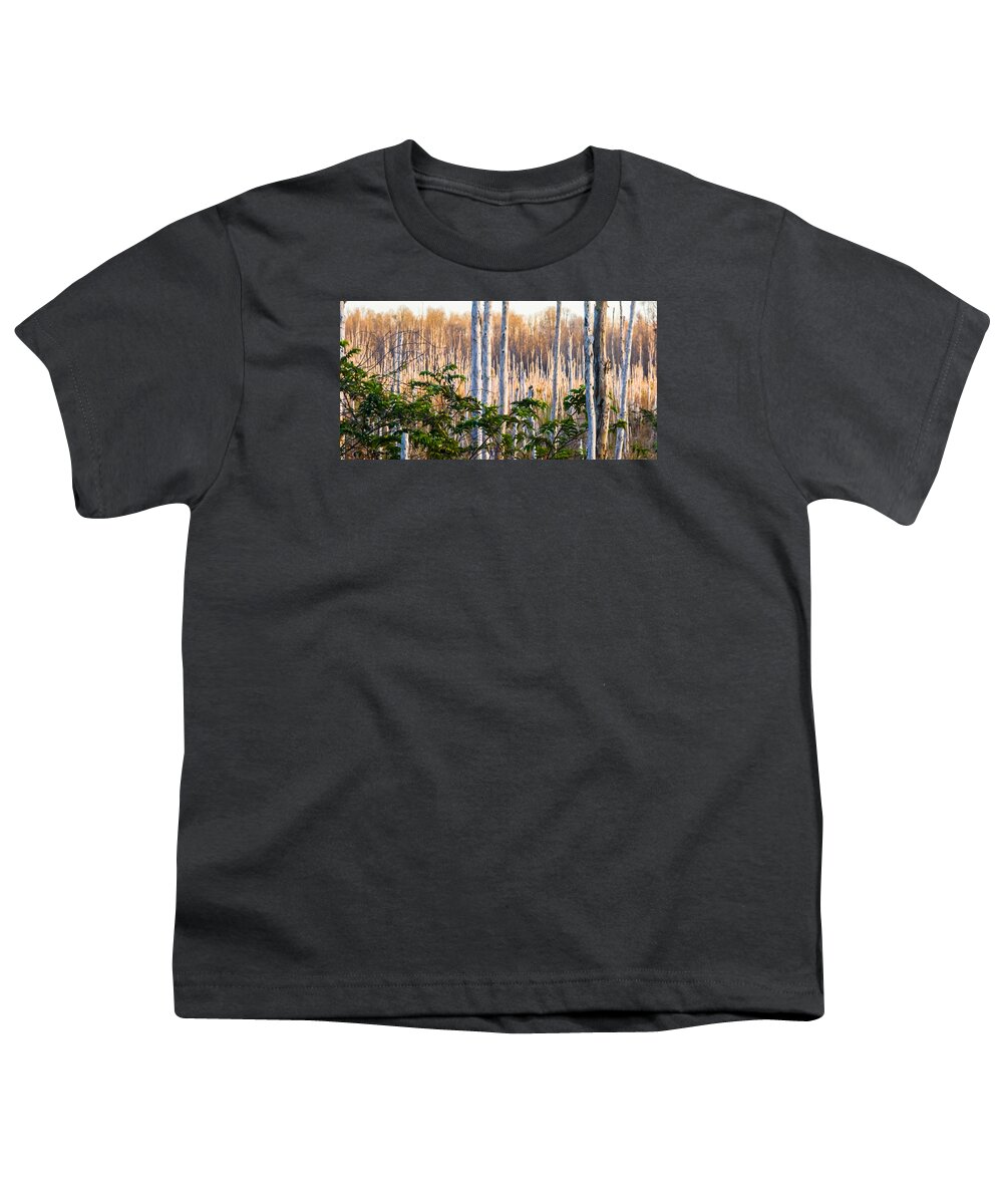 Bark Youth T-Shirt featuring the photograph Melaleuca Forest by Ed Gleichman