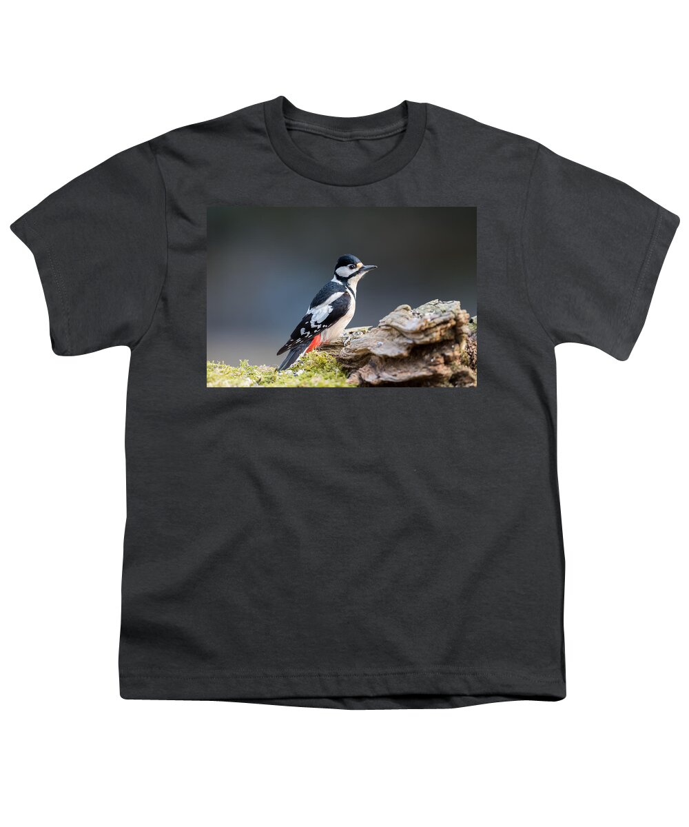 Miss Woodpecker Youth T-Shirt featuring the photograph Miss Woodpecker by Torbjorn Swenelius