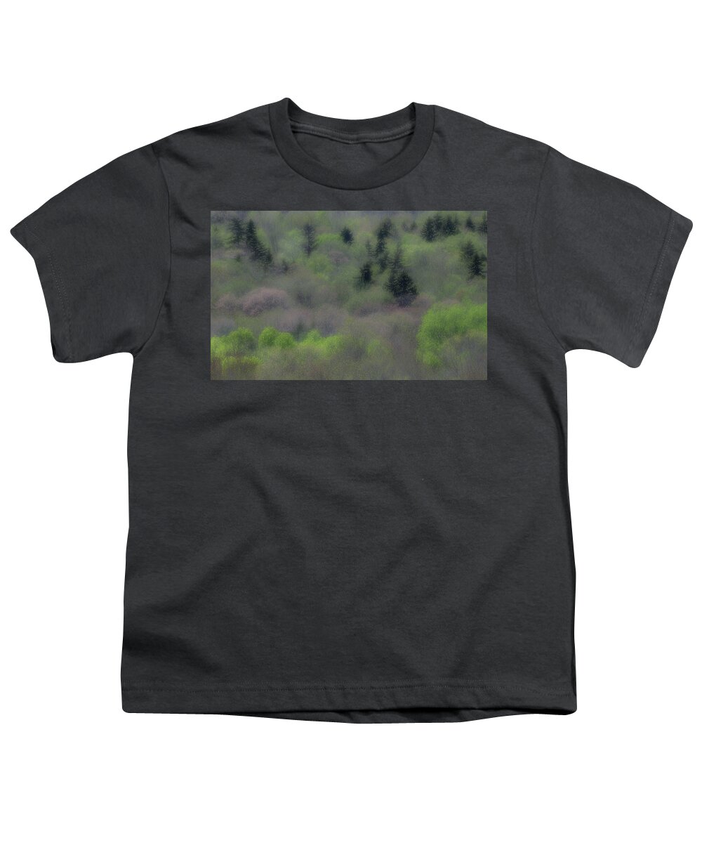 Abstract Youth T-Shirt featuring the photograph Misty Spring Forest by Irwin Barrett