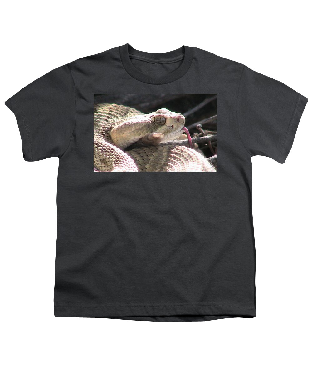 Coiled Youth T-Shirt featuring the photograph Mojave Rattlesnake 4 by Judy Kennedy