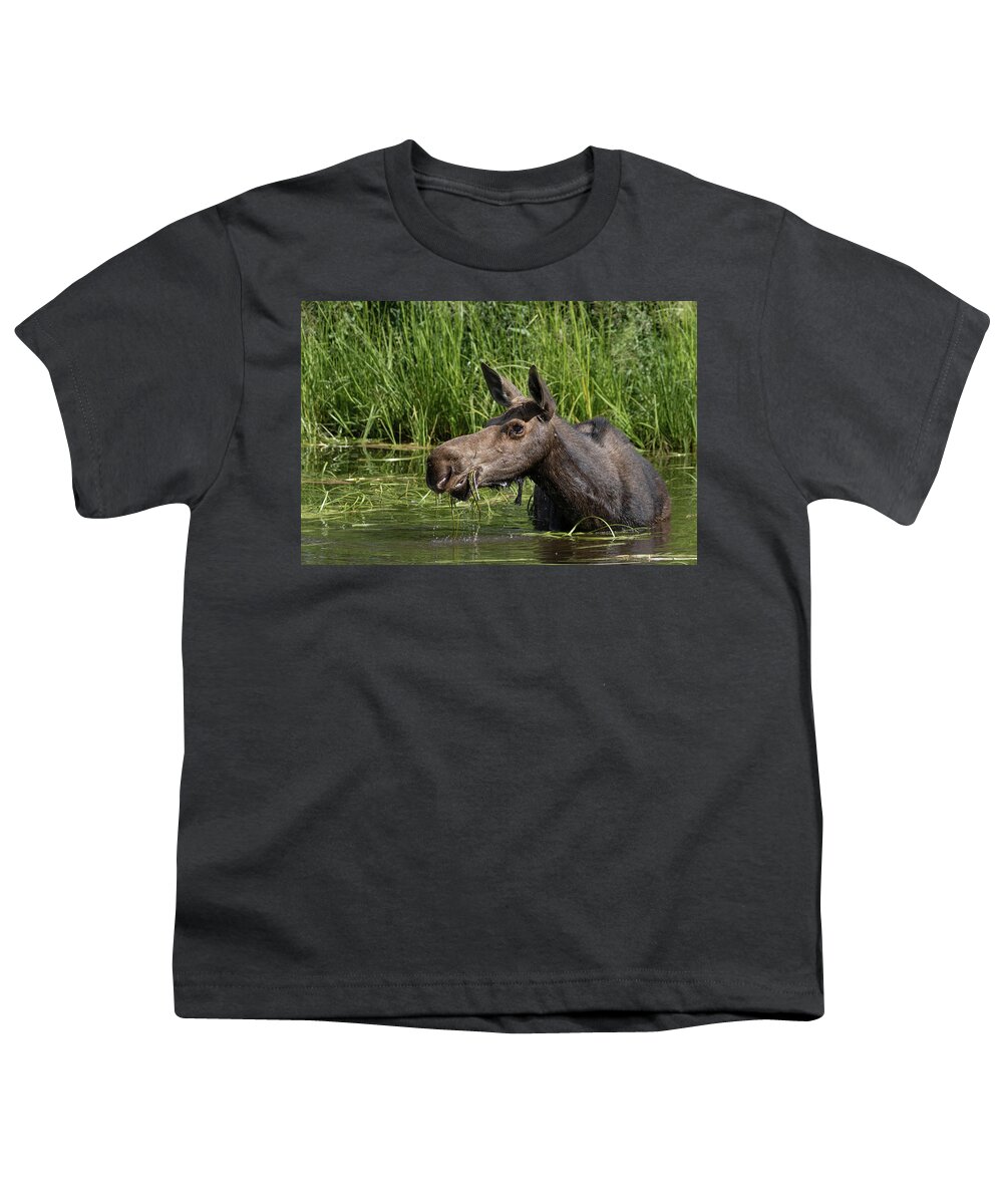 Moose Youth T-Shirt featuring the photograph Momma Moose by Ronnie And Frances Howard