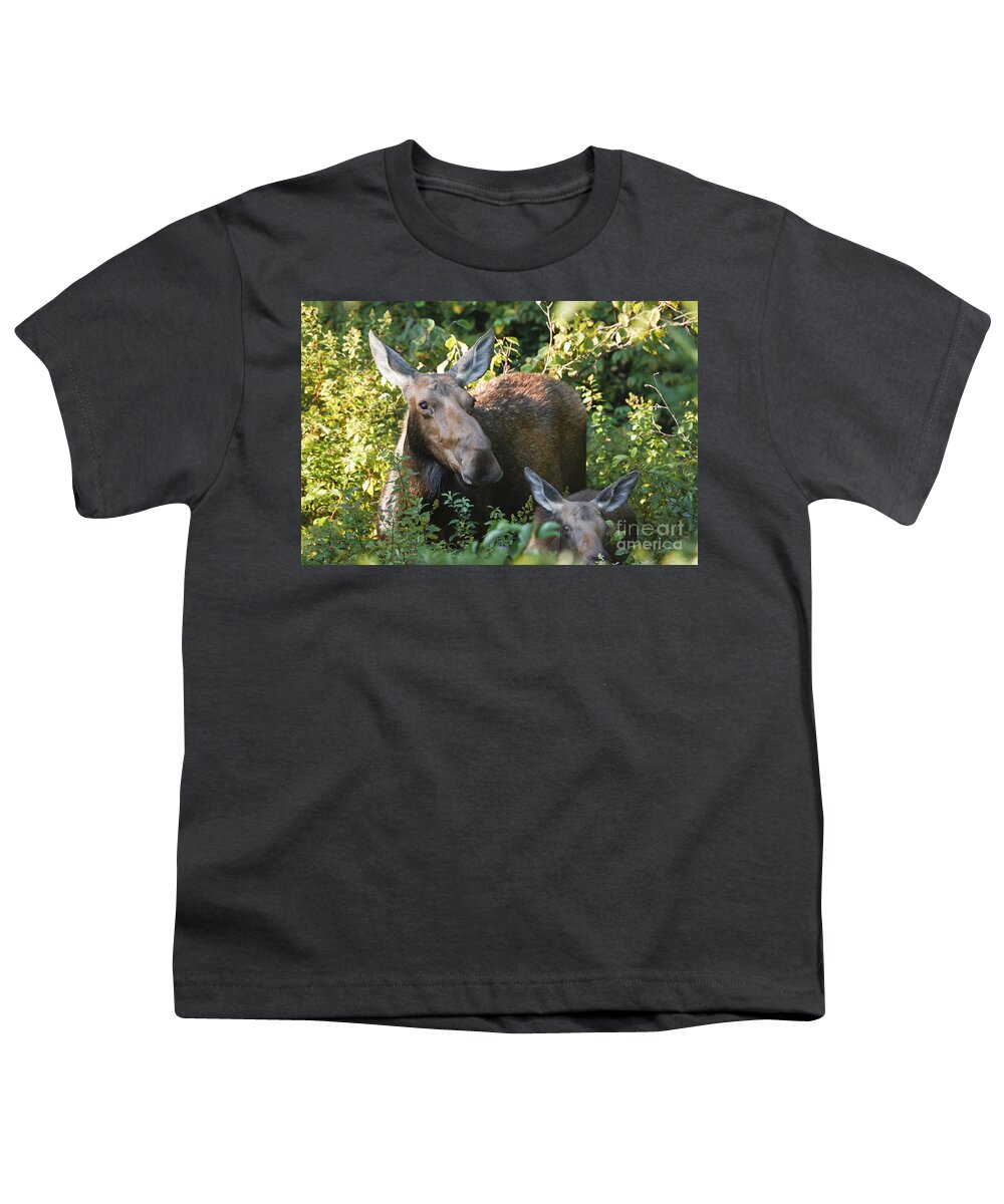 White Mountain National Forest Youth T-Shirt featuring the photograph Moose - White Mountains New Hampshire by Erin Paul Donovan