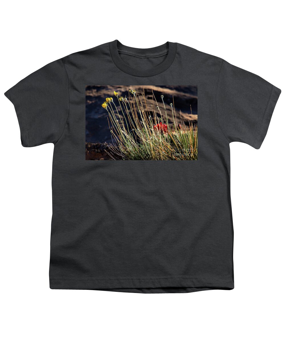 Wildflowers Youth T-Shirt featuring the photograph Morning Praise by Jim Garrison