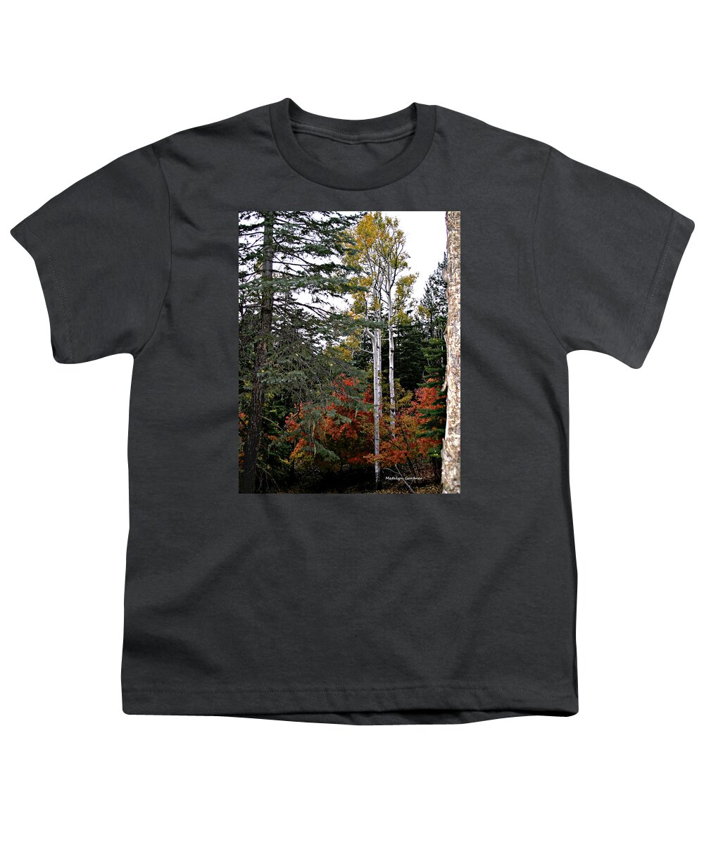 Trees Youth T-Shirt featuring the photograph Mountain Autumn by Matalyn Gardner