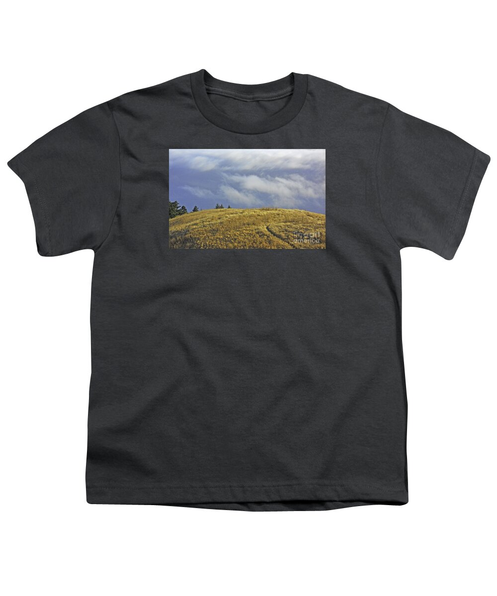 Mt. Tamalpais Youth T-Shirt featuring the photograph Mountain High by Joyce Creswell