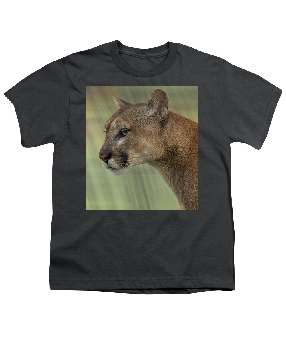 Mountain Lion Youth T-Shirt featuring the photograph Mountain lion portrait by Sam Rino