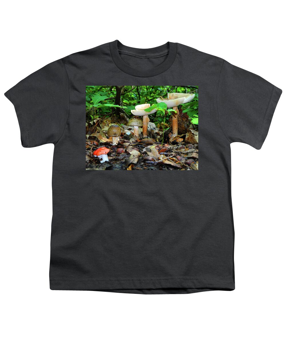 Mushrooms On Bear Mountain Youth T-Shirt featuring the photograph Mushroom Family by Raymond Salani III