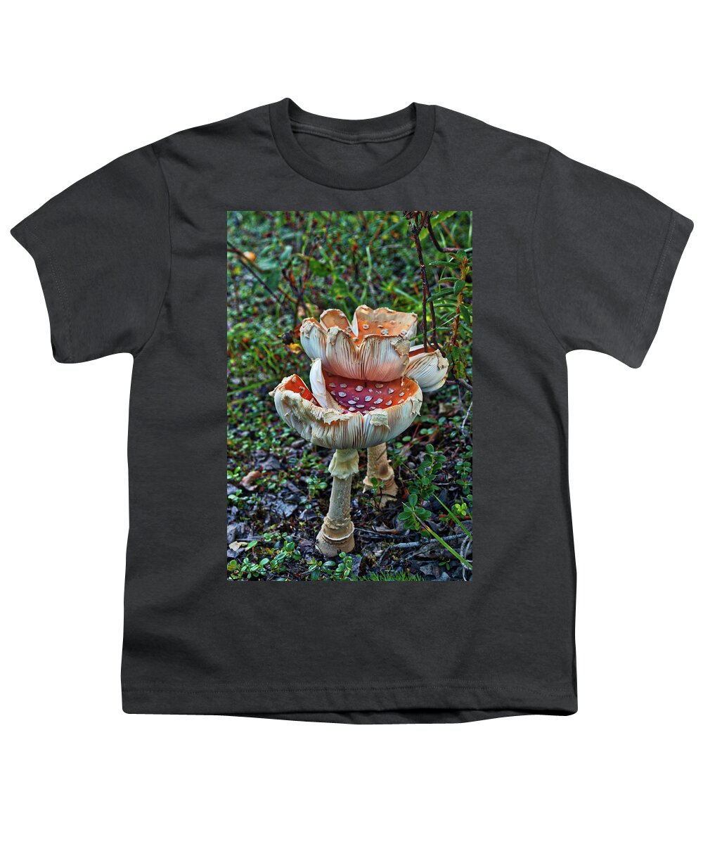 Mushroom Youth T-Shirt featuring the photograph Mushroom Gills by Cathy Mahnke