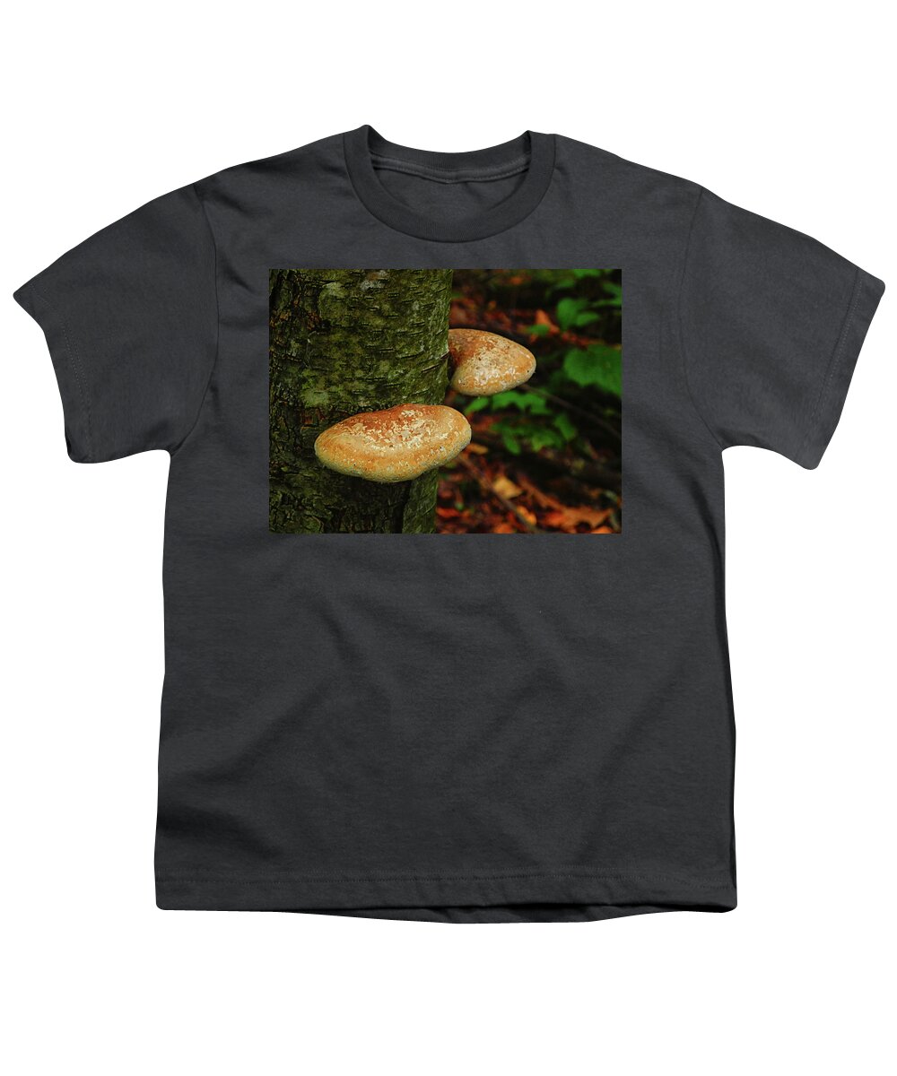 Appalachian Trail Connecticut Youth T-Shirt featuring the photograph Mushroom Pair by Raymond Salani III
