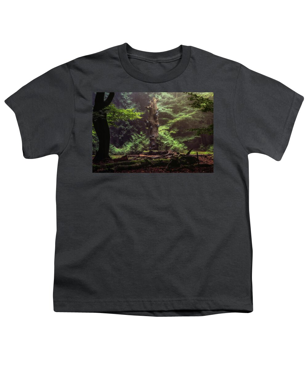 Autumn Youth T-Shirt featuring the photograph Mushroom tree by Tim Abeln