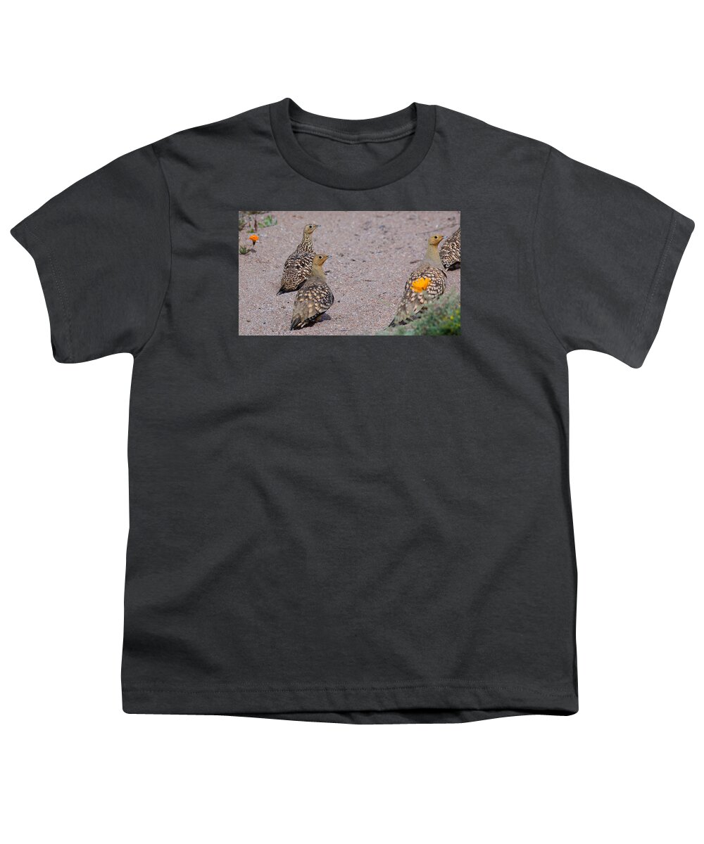Bird Youth T-Shirt featuring the photograph Namaqua Sandgrouse by Claudio Maioli