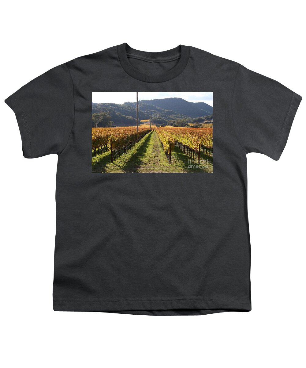 Napa Youth T-Shirt featuring the photograph Napa Valley Vineyard . 7D9020 by Wingsdomain Art and Photography