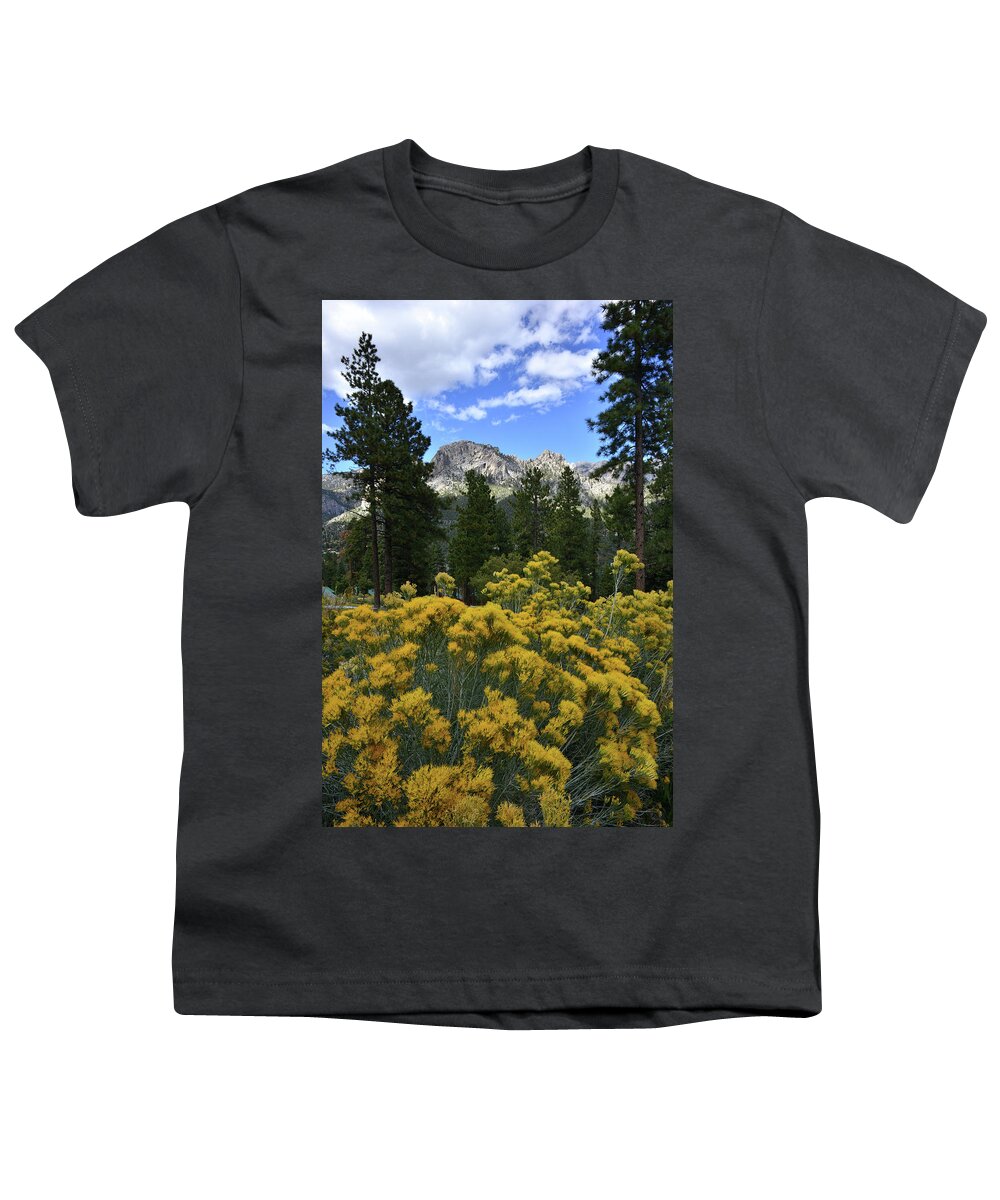 Humboldt-toiyabe National Forest Youth T-Shirt featuring the photograph Natural Area Beneath Mt. Charleston by Ray Mathis