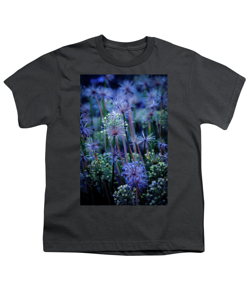 Natural Fireworks Youth T-Shirt featuring the photograph Natural Fireworks 4791 H_2 by Steven Ward