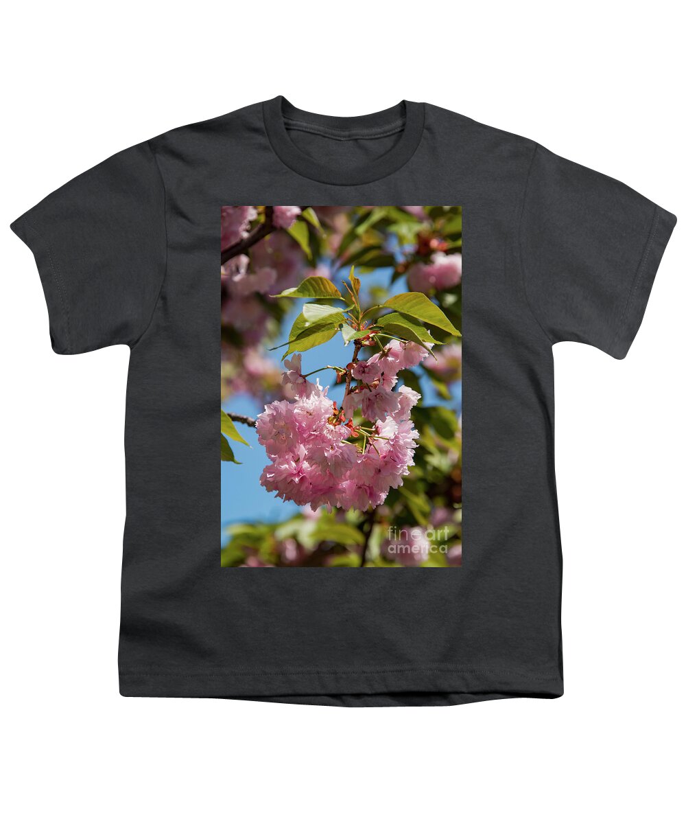 Hagerstown Youth T-Shirt featuring the photograph Nature in Pink by Bob Phillips