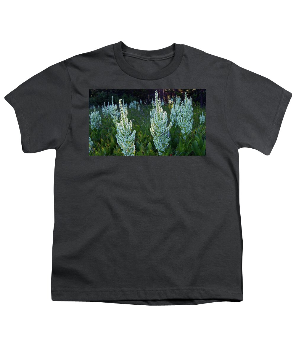 Wildflowers Youth T-Shirt featuring the photograph Nature Speaks by Sean Sarsfield