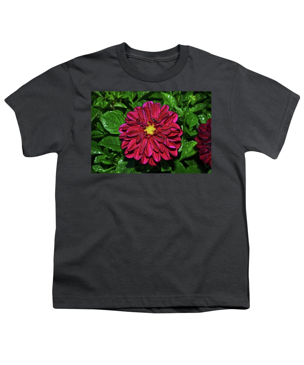 Dahlia Youth T-Shirt featuring the photograph Natures Crystal - Dewdrop Dahlia 002 by George Bostian