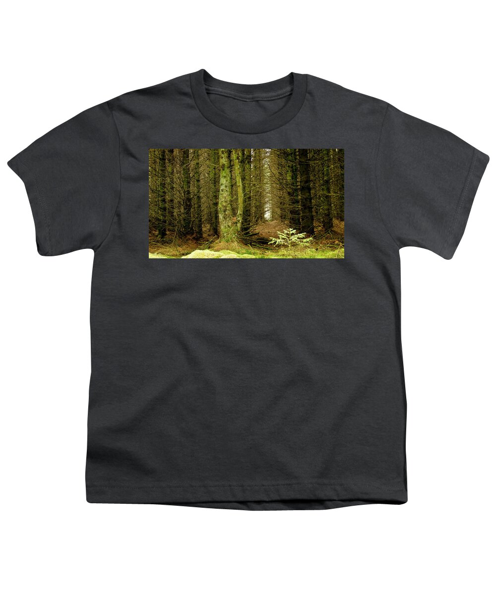 Fur Tree Youth T-Shirt featuring the photograph Newcomer by Elena Perelman