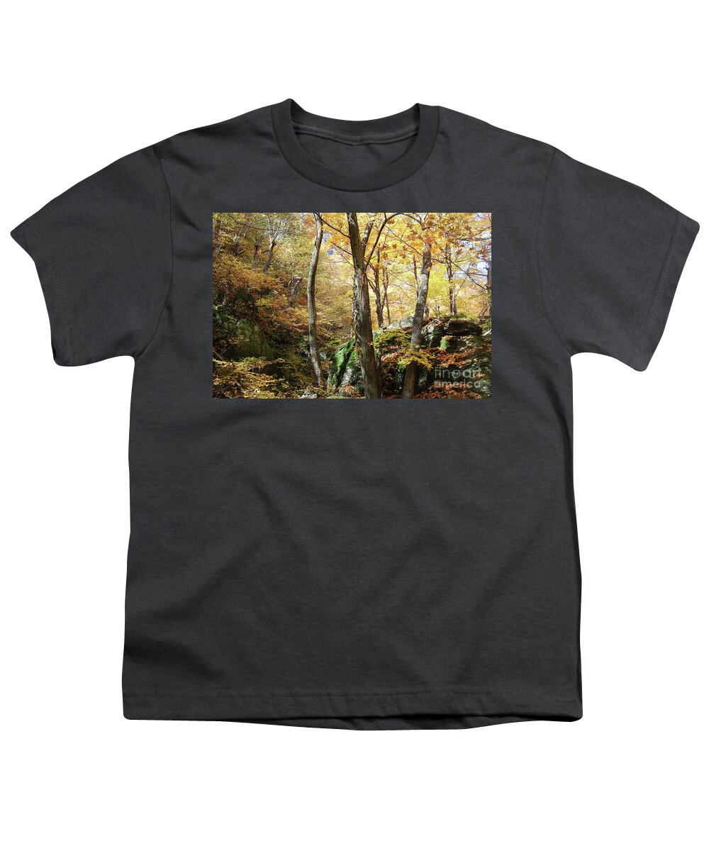 Fall Colors Youth T-Shirt featuring the photograph Niche in Smuggler's Notch by Felipe Adan Lerma