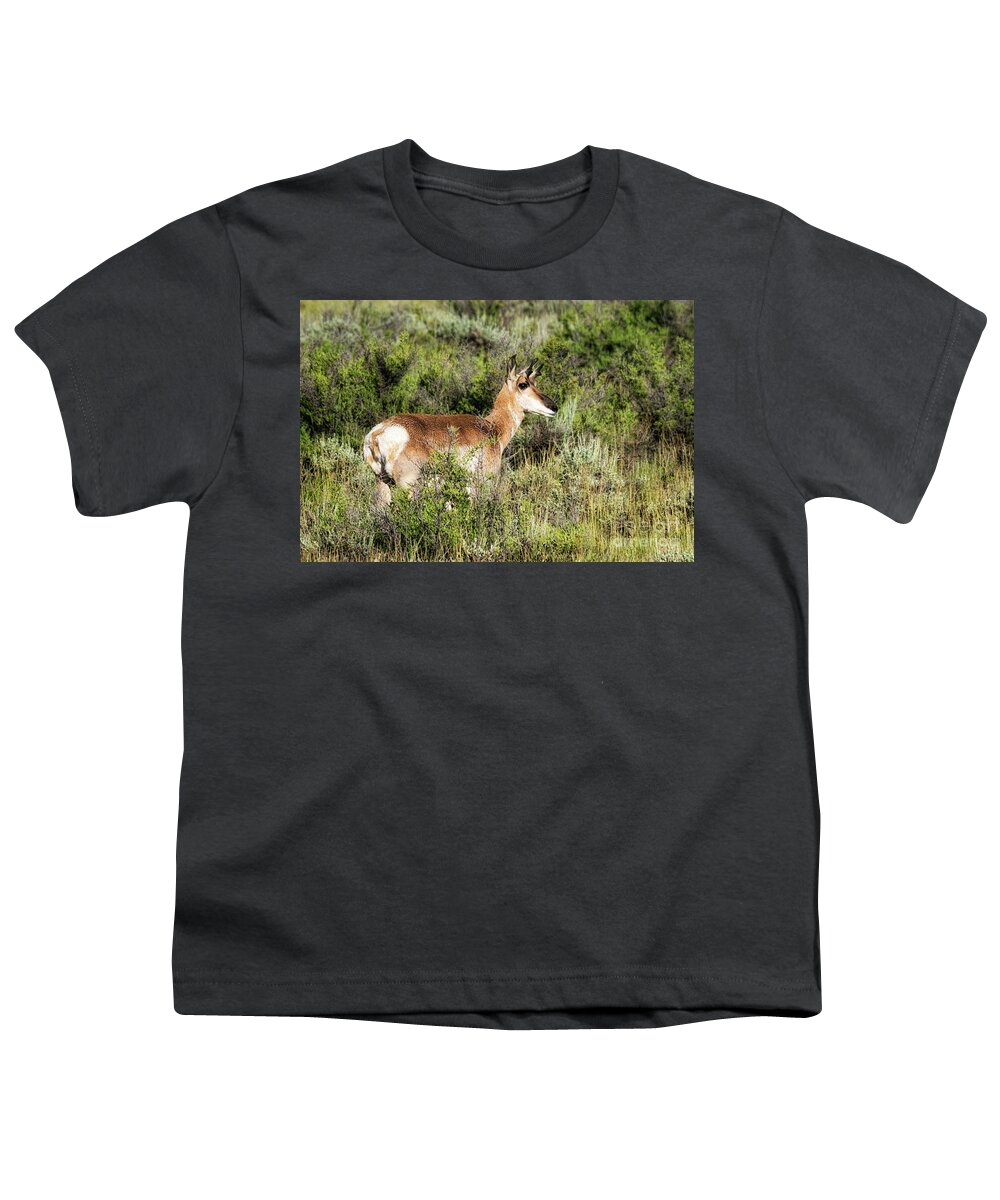 North Park Pronghorn Youth T-Shirt featuring the photograph North Park Pronghorn by Priscilla Burgers