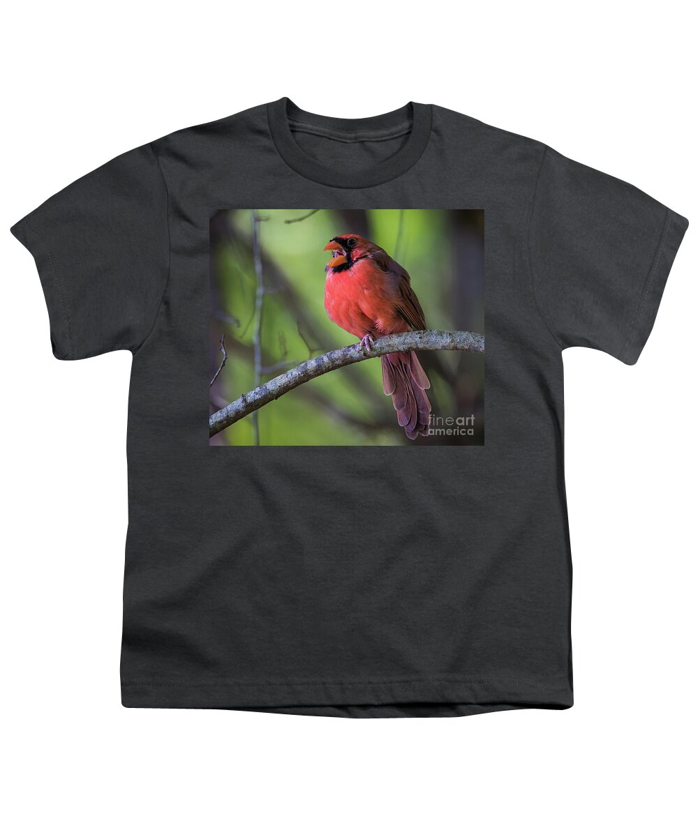 Nature Youth T-Shirt featuring the photograph Northern Cardinal - Male by DB Hayes