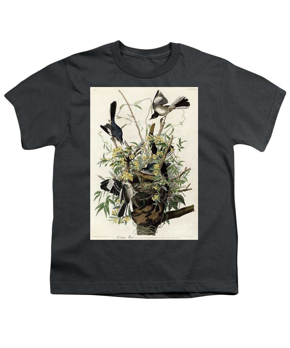 1858 Youth T-Shirt featuring the photograph Northern Mockingbird by Granger